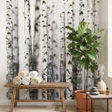 Fototapeten: Birkenwald 18