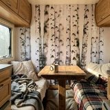 Fototapeten: Birkenwald 21