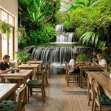 Fototapeten: Cascate nel giardino tropicale 10