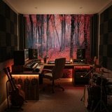 Fototapeten: Der Rote Wald 19