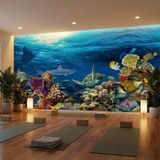 Fototapeten: Schildkr&ouml;te in Meeresstr&ouml;mungen 12