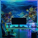 Fototapeten: Schildkr&ouml;te in Meeresstr&ouml;mungen 9