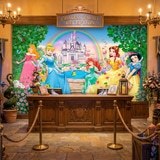 Fototapeten: Prinzessinnen und Schloss Disney 13