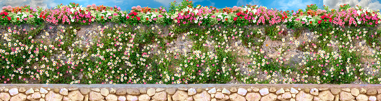 Fototapeten: Wand mit Blumen
