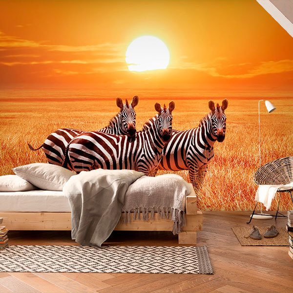 Fototapeten: Zebras im Sonnenuntergang 0