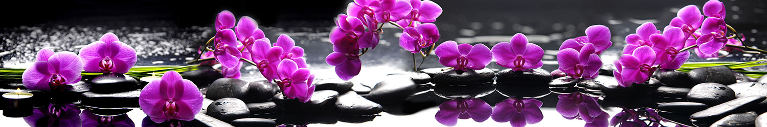 Fototapeten: Purpurne Orchideen