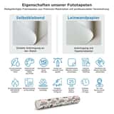 Fototapeten: Weltkarte des Abenteurers 2654789