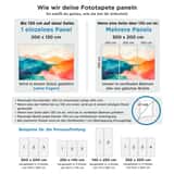 Fototapeten: Weiße Pferde in der Nacht 2654790