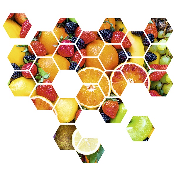 Wandtattoos: Frucht Geometrischer Kit
