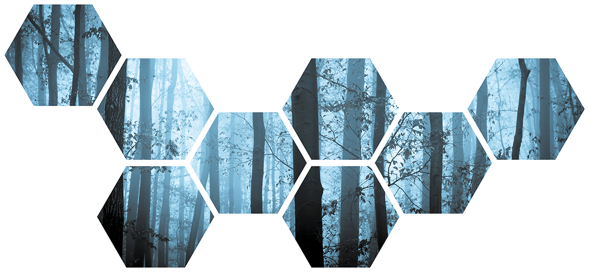 Wandtattoos: Blauer Wald Geometrischer Kit