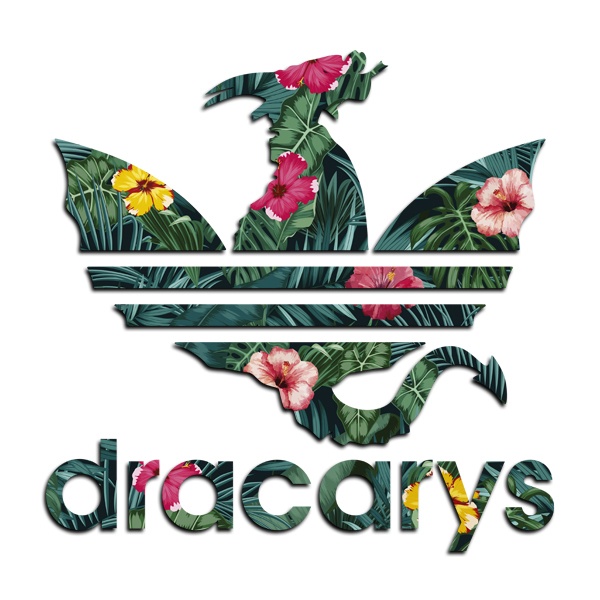 Wandtattoos: Dracarys