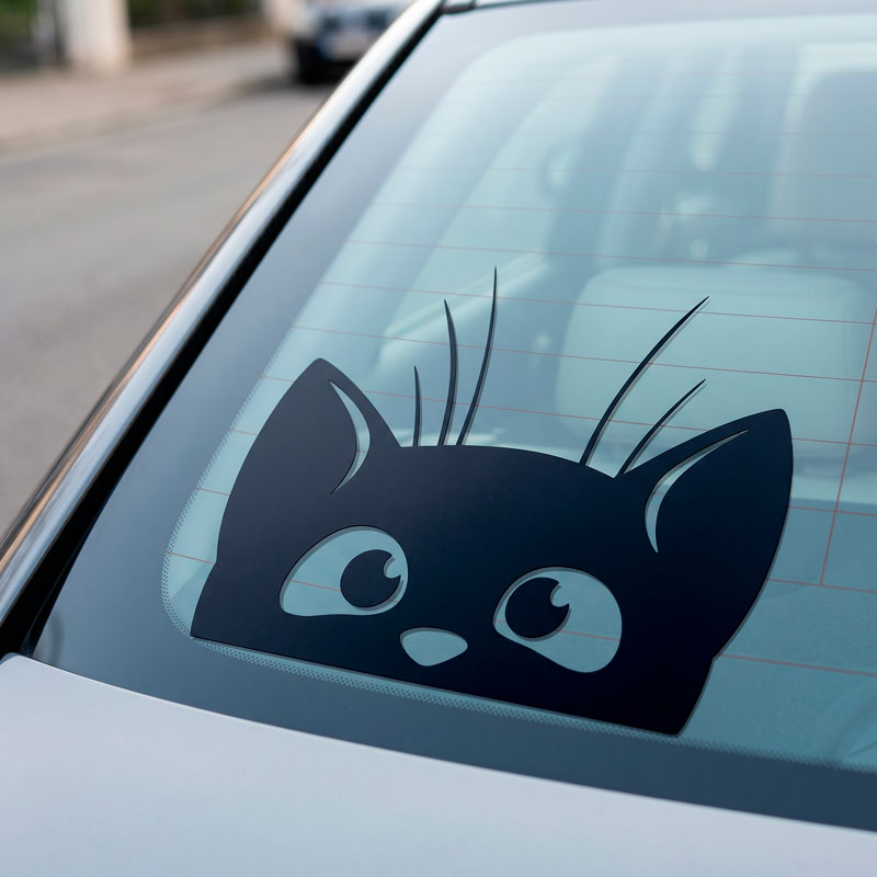 Guckguck-Katze 2/3