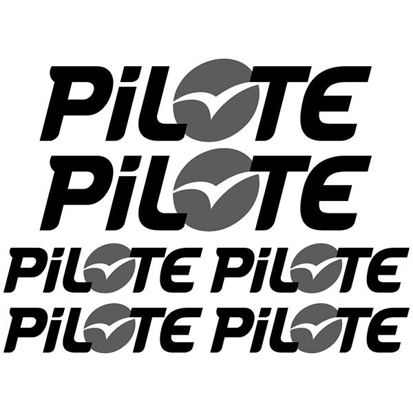 Wohnmobil aufkleber: Pilote Aufkleber-Set