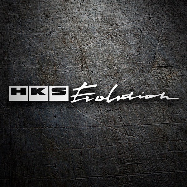 Aufkleber: HKS Evolution