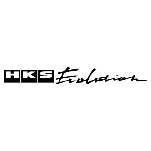 Aufkleber: HKS Evolution