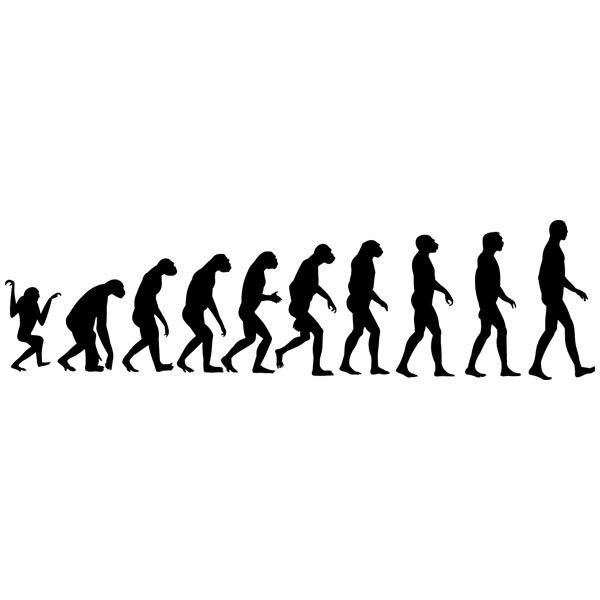 Wandtattoos: Evolution