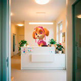 Kinderzimmer Wandtattoo: Paw Patrol - Skye 12