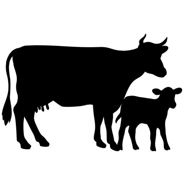Kinderzimmer Wandtattoo: Tafel Kühe