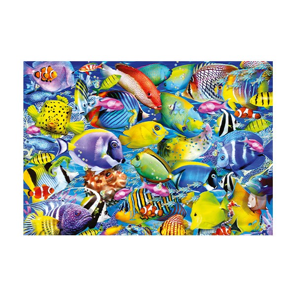 Wandtattoos: Bunte Fische