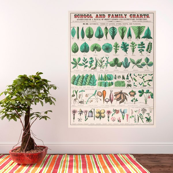 Wandtattoos: School and Family Charts