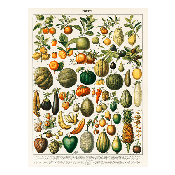 Wandtattoos: Arten von Obst