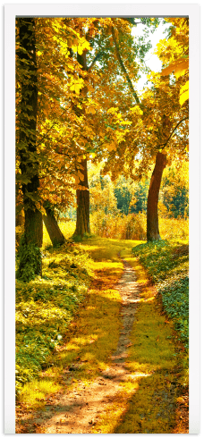 Wandtattoos: Waldweg im Herbst