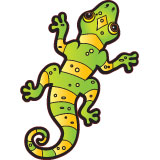 Aufkleber: Grüner und gelber Salamander 3