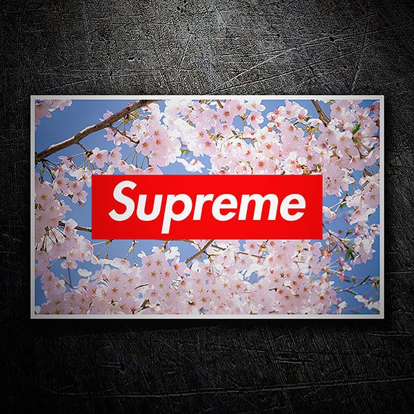 Aufkleber: Supreme Kirschbl&uuml;te