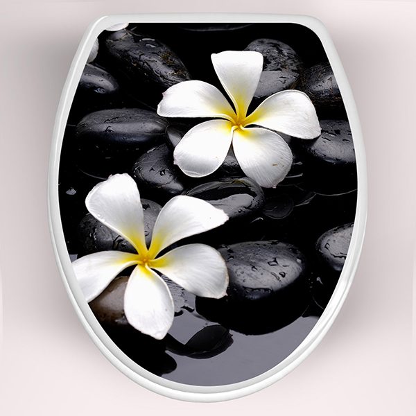 Wandtattoos: Top WC frangipani Blüten