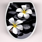 Wandtattoos: Top WC frangipani Blüten 3