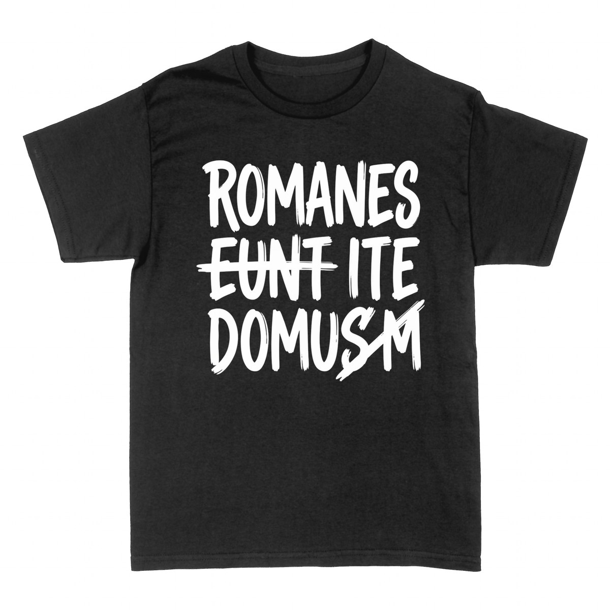 T-shirts: Romanes Eunt Domusm &mdash; Latein mit Humor