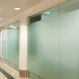 Wandtattoos: Klebefolie für Glasflächen 80 cm 9