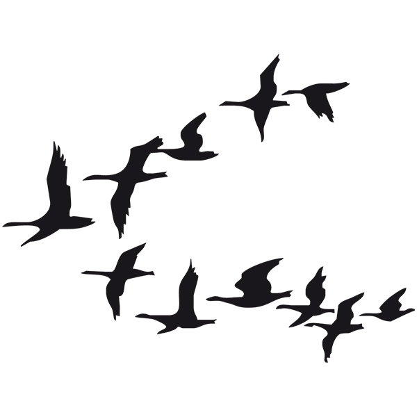 Aufkleber: Migration von Vögeln
